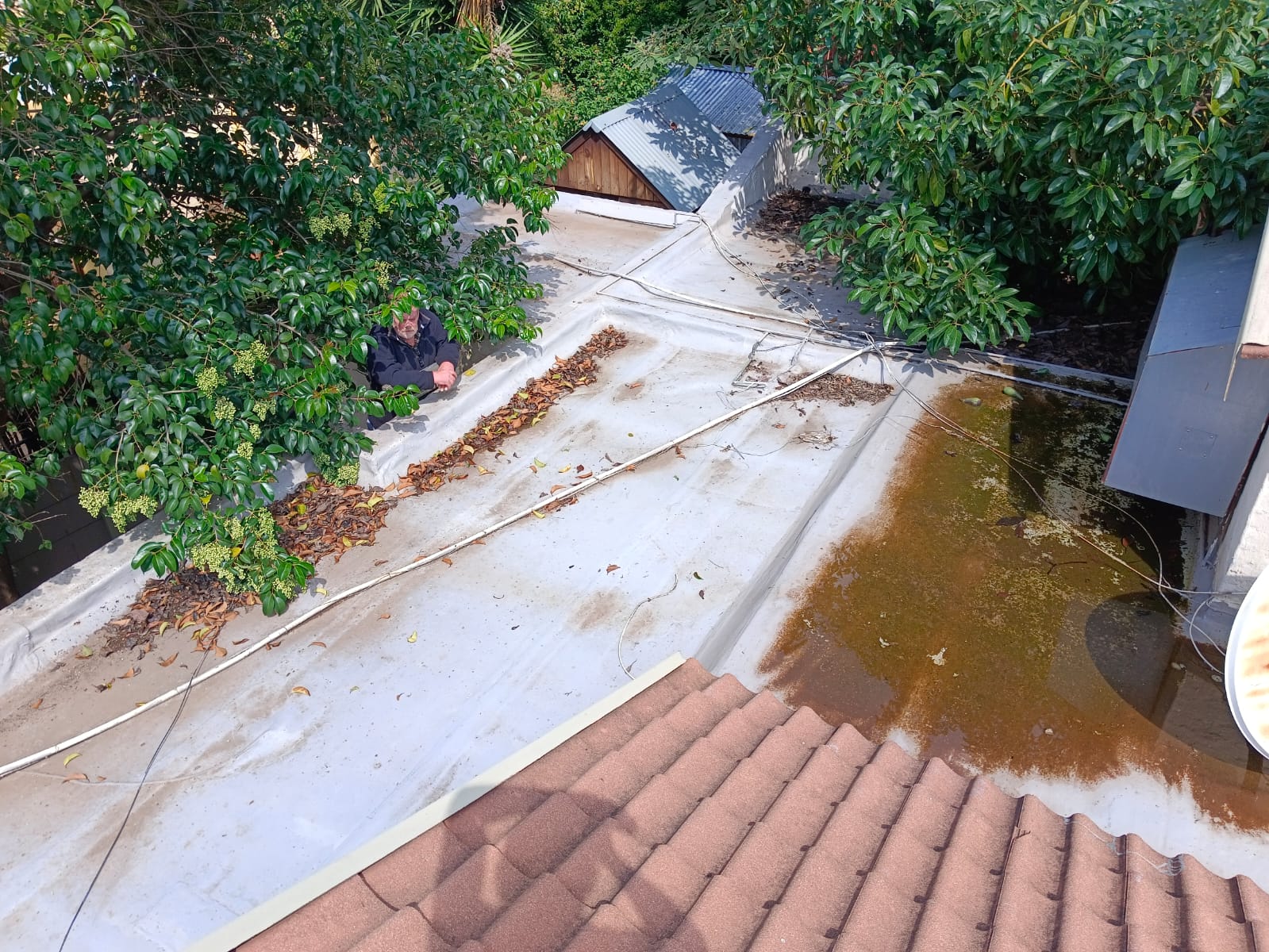 Bathroom before renovation